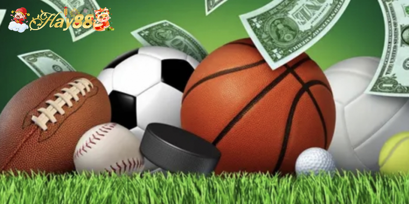 Cá cược thể thao hay88 với giao diện trực quan