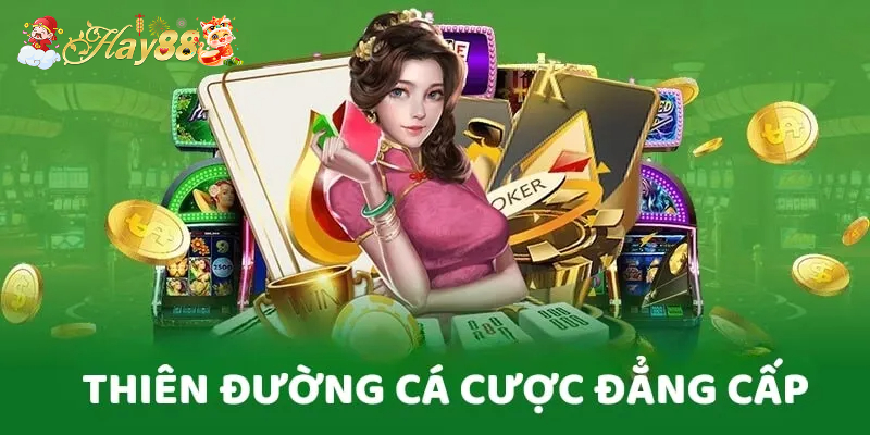 Hay88 có lừa đảo không